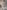 Pio Fedi, “Tomba monumentale di Giovan Battista Niccolini”, particolare, 1870-1876, marmo bianco di Carrara, marmo bardiglio grigio, ottone. Firenze, Santa Croce, controfacciata