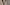 Donatello, “Vergine”, particolare della “Annunciazione della Vergine (Annunciazione Cavalcanti)", 1433-1435 circa, pietra serena lumeggiata d’oro; putti in terracotta e stucco. Firenze, Santa Croce, navata destra