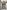 Donatello, “Annunciazione della Vergine (Annunciazione Cavalcanti)", 1433-1435 circa, pietra serena lumeggiata d’oro; putti in terracotta e stucco. Firenze, Santa Croce, navata destra