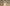 Giotto, “Annuncio a Zaccaria nel tempio”, scena delle “Storie di san Giovanni Battista e san Giovanni Evangelista”, 1310-1311 circa, pittura murale. Firenze, Santa Croce, transetto destro, cappella Peruzzi
