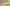 Giotto, “Nascita di san Giovanni Battista; Zaccaria, divenuto muto, scrive il nome del figlio”, scena delle “Storie di san Giovanni Battista e san Giovanni Evangelista”, 1310-1311 circa, pittura murale. Firenze, Santa Croce, transetto destro, cappella Peruzzi