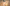 Giotto, “Resurrezione di Drusiana”, scena delle “Storie di san Giovanni Battista e di san Giovanni Evangelista”, 1310-1311 circa, pittura murale. Firenze, Santa Croce, transetto destro, cappella Peruzzi