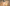 Giotto, “Resurrezione di Drusiana”, scena delle “Storie di san Giovanni Battista e di san Giovanni Evangelista”, 1310-1311 circa, pittura murale. Firenze, Santa Croce, transetto destro, cappella Peruzzi