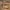 Giovanni da Milano, "La Maddalena lava i piedi di Cristo in casa di Simone Fariseo", scena delle "Storie di Maria Maddalena", 1359-1366 circa, affresco. Firenze, Santa Croce, sagrestia, cappella Rinuccini 