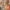 Agnolo Gaddi, “Il ritrovamento dell'albero di Set“, particolare della "Leggenda della Vera Croce", 1380-1390, affresco. Firenze, Santa Croce, cappella Maggiore