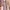 Taddeo Gaddi, “Sposalizio della Vergine”, particolare delle “Storie della Vergine”, 1328-1330 circa, affresco. Firenze, Santa Croce, transetto destro, cappella Baroncelli
