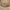 Il Volterrano, “Incoronazione della Vergine”, particolare, 1653-1661, affresco. Firenze, Santa Croce, transetto sinistro, cappella Niccolini