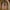 Giotto, "Incoronazione della Vergine", particolare della “Incoronazione della Vergine tra angeli e santi (Polittico Baroncelli)", dopo il 1328, tempera su tavola. Firenze, Santa Croce, transetto destro, cappella Baroncelli