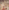 Taddeo Gaddi, "Cena di Gesù in casa del fariseo", scena dell' “Albero della Vita e Ultima Cena”, 1345-1350 circa, affresco staccato. Firenze, Santa Croce, Cenacolo
