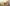 Giotto, “San Francesco appare a frate Agostino e al vescovo Guido di Assisi ", particolare delle "Storie di san Francesco", 1317-1321 circa, affresco. Firenze, Santa Croce, transetto destro, cappella Bardi