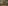 Pittore fiorentino, “Interno della chiesa di Santa Croce”, metà del XIX secolo, olio su tela. Firenze, Santa Croce, Archivio storico di Santa Croce