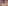 Giotto, “Storie di san Giovanni Battista e di san Giovanni Evangelista”, particolare, 1310-1311 circa, pittura murale. Firenze, Santa Croce, transetto destro, cappella Peruzzi 