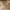 Benedetto da Maiano, “San Francesco riceve le stimmate”, particolare del pulpito con “Storie di san Francesco”, 1481-1487, marmo bianco di Seravezza, marmo rosso di Maremma con dorature, lacca e tarsie di vetro. Firenze, Santa Croce, navata centrale
