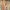 Agnolo Gaddi, “La regina di Saba e Salomone”, particolare della "Leggenda della Vera Croce", 1380-1390, affresco. Firenze, Santa Croce, cappella Maggiore