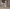 Taddeo Gaddi, "San Bonaventura da Bagnoregio", particolare dell' “Albero della Vita e Ultima Cena”, 1345-1350 circa, affresco staccato. Firenze, Santa Croce, Cenacolo