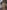 Benedetto da Maiano, Sistema di accesso al pulpito con “Storie di san Francesco”, 1481-1487, legno, marmo bianco di Seravezza. Firenze, Santa Croce, navata destra