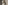 Desiderio da Settignano, “Putto reggi-scudo”, particolare della “Tomba monumentale di Carlo Marsuppini”, 1454-1459, marmo e affresco. Firenze, Santa Croce, navata sinistra