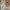Giuseppe Cassioli, “Tomba monumentale di Gioachino Rossini”, 1900-1902, marmo bianco di Carrara, marmo di Seravezza, dorature/mosaico dorato. Bernardo Rossellino, “Tomba monumentale di Leonardo Bruni”, 1445-1450 circa, marmo. Firenze, Santa Croce, navata destra