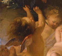 Giuseppe Bezzuoli, “Angelo”, particolare della “Assunzione della Madonna”, 1840, olio su tela. Firenze, Santa Croce, Museo dell’Opera di Santa Croce