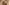 Giotto, “San Francesco appare a frate Agostino e al vescovo Guido di Assisi ", particolare delle "Storie di san Francesco", 1317-1325, affresco. Firenze, Santa Croce, transetto destro, cappella Bardi