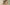 Andrea di Cione detto Andrea Orcagna, “Eclissi solare”, scena dei “Frammenti del Trionfo della morte, l’Inferno e il Giudizio Universale”, affresco staccato, 1345 circa. Firenze, Santa Croce, cenacolo