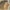 Andrea di Cione detto Andrea Orcagna, “Eclissi solare”, scena dei “Frammenti del Trionfo della morte, l’Inferno e il Giudizio Universale”, affresco staccato, 1345 circa. Firenze, Santa Croce, cenacolo