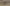 Giotto, “Committente”, particolare delle “Storie di san Giovanni Battista e di san Giovanni Evangelista”, 1310-1311 circa, pittura murale. Firenze, Santa Croce, transetto destro, cappella Peruzzi