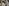 Restauro di Valerio Cioli, "Scultura", particolare della "tomba monumentale di Michelangelo Buonarroti", 1564-1576, marmo e affresco. Firenze, Santa Croce, navata destra