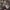 Giorgio Vasari, "Andata al Calvario e l’incontro con la Veronica", particolare, 1572, olio su tavola, dopo il restauro. Firenze, Santa Croce, navata destra