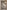 Taddeo Gaddi, “Adorazione dei pastori” scena delle “Storie della Vergine e dell’infanzia di Gesù”, 1328-1330, affresco. Firenze, Santa Croce, transetto destro, cappella Baroncelli