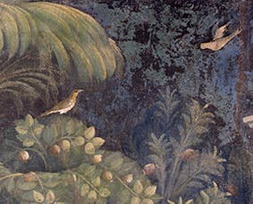 Taddeo Gaddi, “Sposalizio della Vergine”, particolare delle “Storie della Vergine”, 1328-1330 circa, affresco. Firenze, Santa Croce, transetto destro, cappella Baroncelli