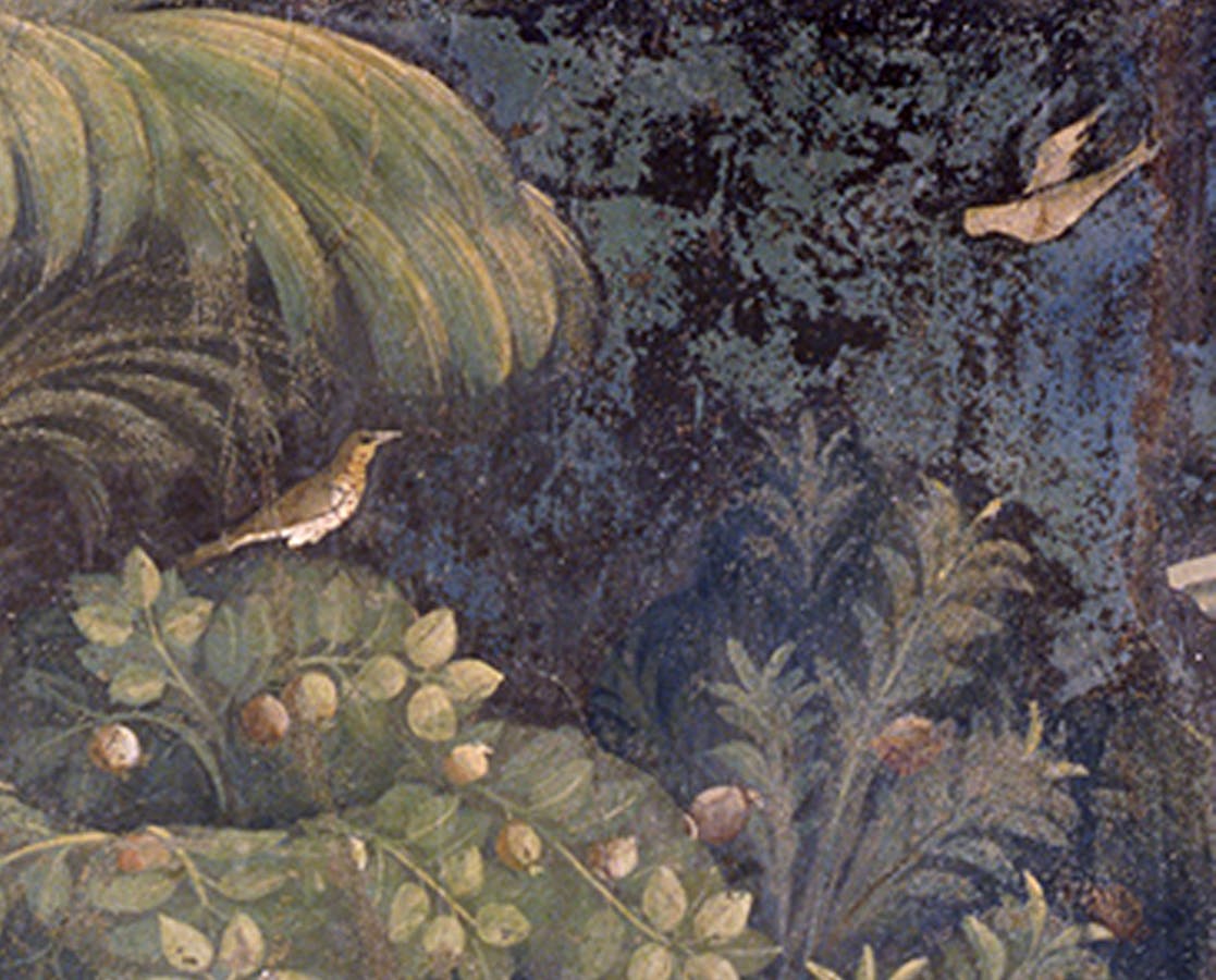 Taddeo Gaddi, “Sposalizio della Vergine”, particolare delle “Storie della Vergine”, 1328-1330 circa, affresco. Firenze, Santa Croce, transetto destro, cappella Baroncelli Taddeo Gaddi, “Sposalizio della Vergine”, particolare delle “Storie della Vergine”, 1328-1330 circa, affresco. Firenze, Santa Croce, transetto destro, cappella Baroncelli