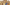 Lorenzo di Niccolò (attribuito), "Incoronazione della Vergine e santi", inizi XV secolo, tempera su tavola. Firenze, Santa Croce, Noviziato, corridoio