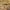 Giotto, "Angeli musicanti e teoria di santi" particolare della “Incoronazione della Vergine tra angeli e santi (Polittico Baroncelli)", dopo il 1328, tempera su tavola. Firenze, Santa Croce, transetto destro, cappella Baroncelli