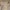 Donatello, particolare della “Annunciazione della Vergine (Annunciazione Cavalcanti)", 1433-1435 circa, pietra serena lumeggiata d’oro; putti in terracotta e stucco. Firenze, Santa Croce, navata destra