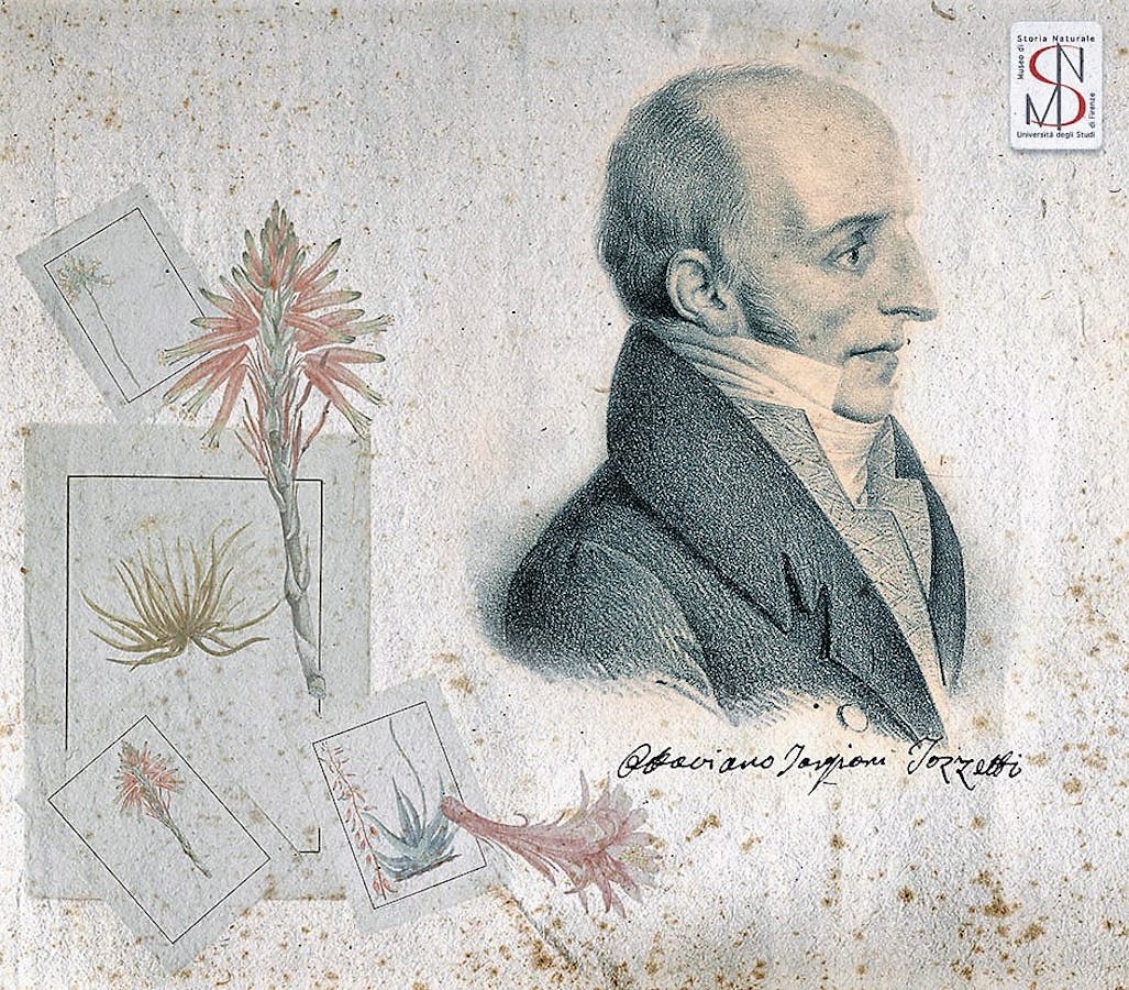 Ritratto di Ottaviano Targioni Tozzetti (elaborazione grafica Museo Galileo)
