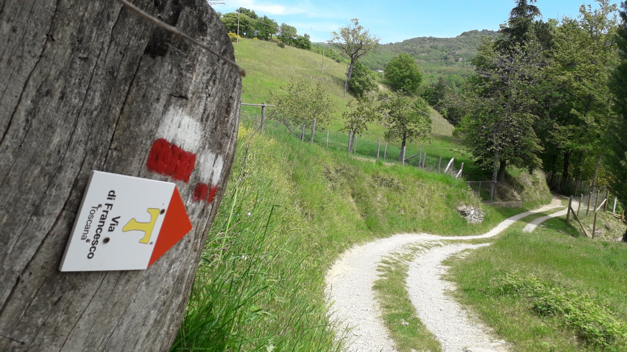 Via di Francesco in Toscana_trekking