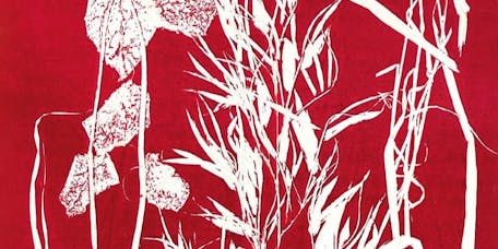 Il cantico della terra di Stefano Mancuso Il cantico della terra di Stefano Mancuso