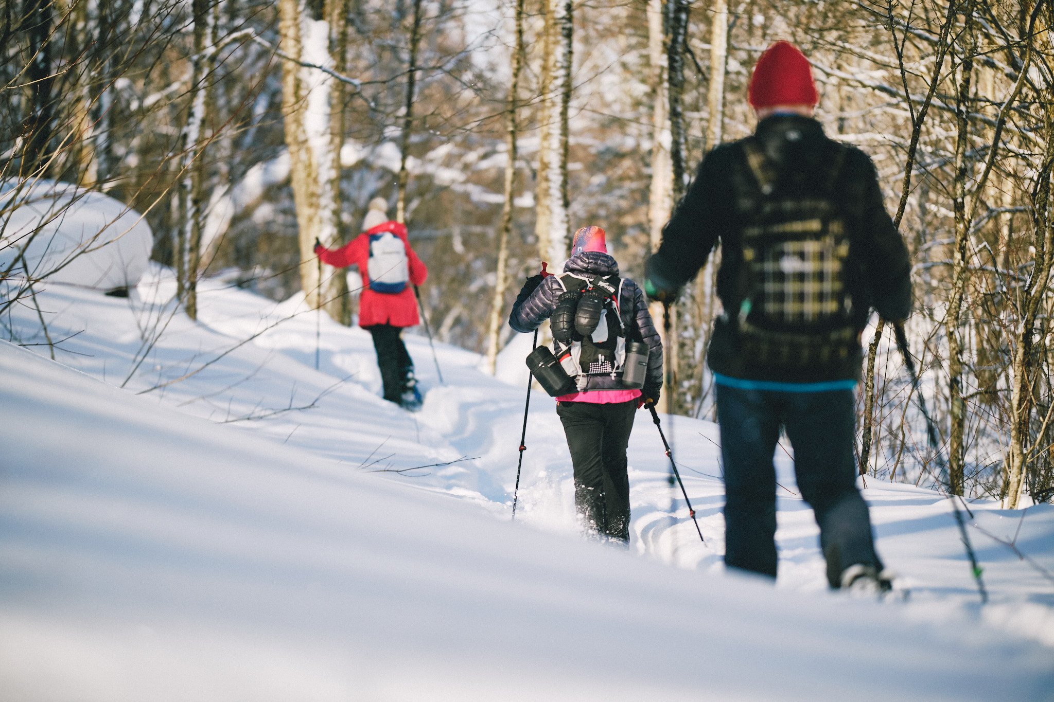 Balade guidée en raquette au coeur de la forêt boréale
