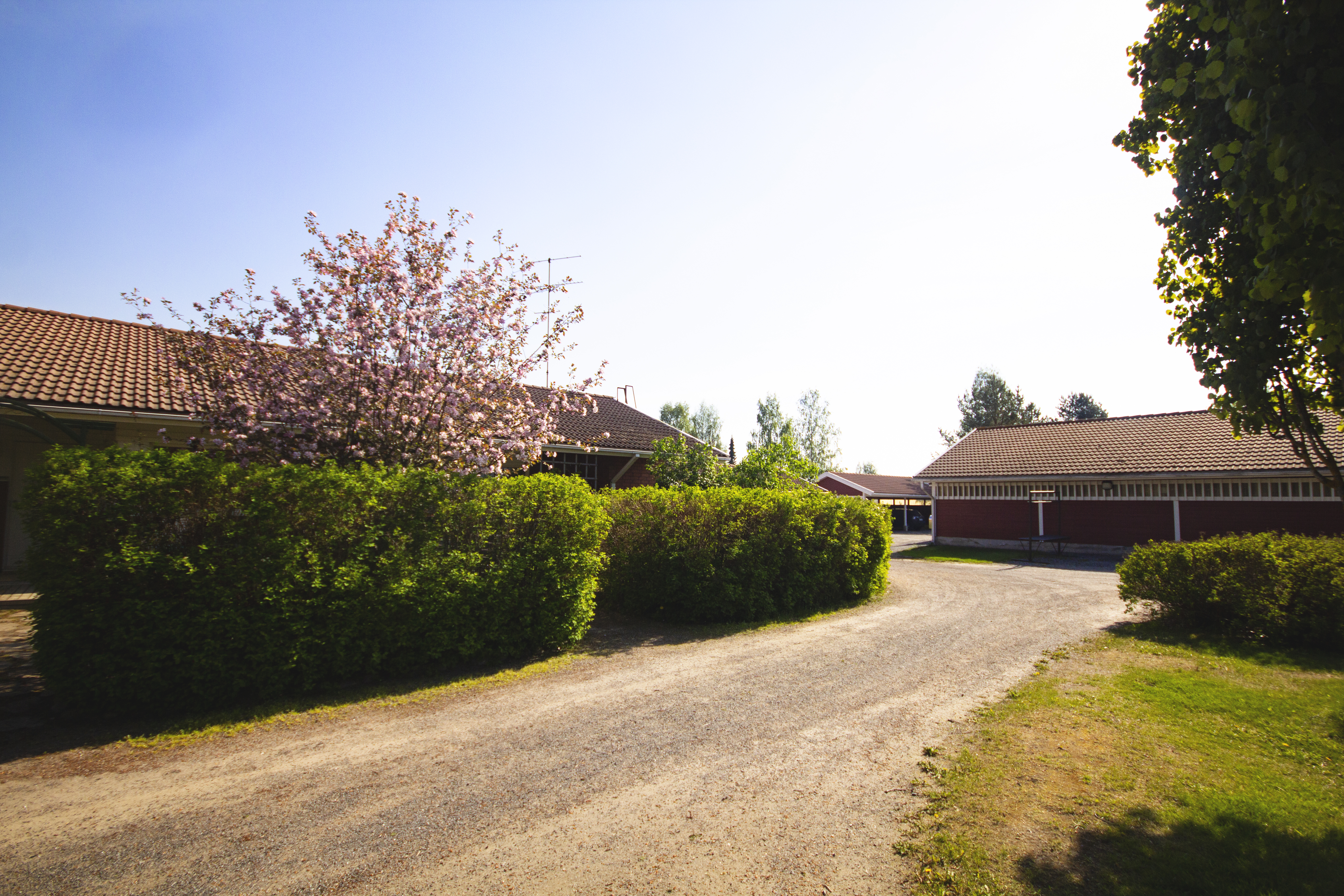 Esikontie 8, thumbnail 173