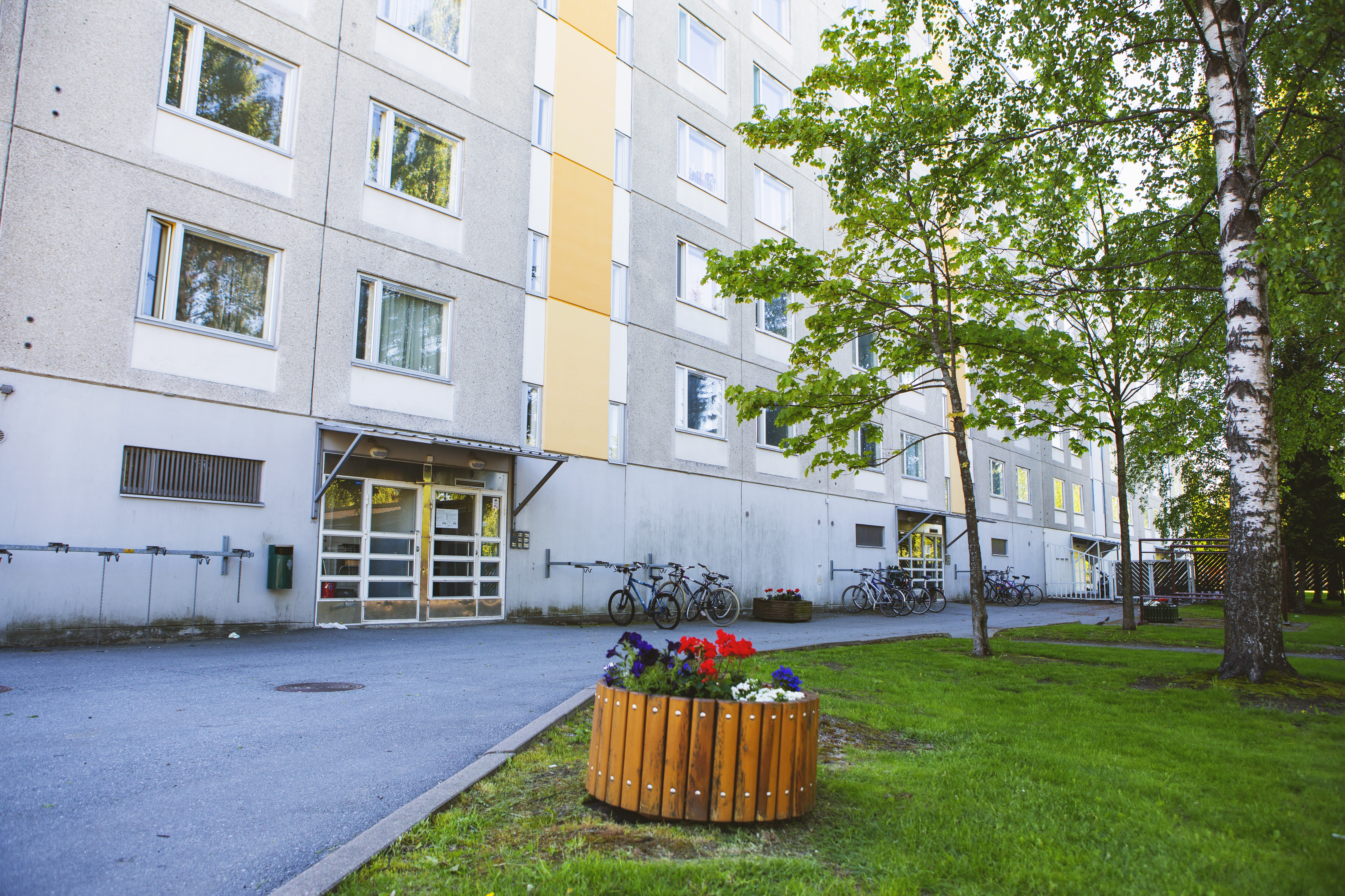 Peräsimentie 1, kuva 301