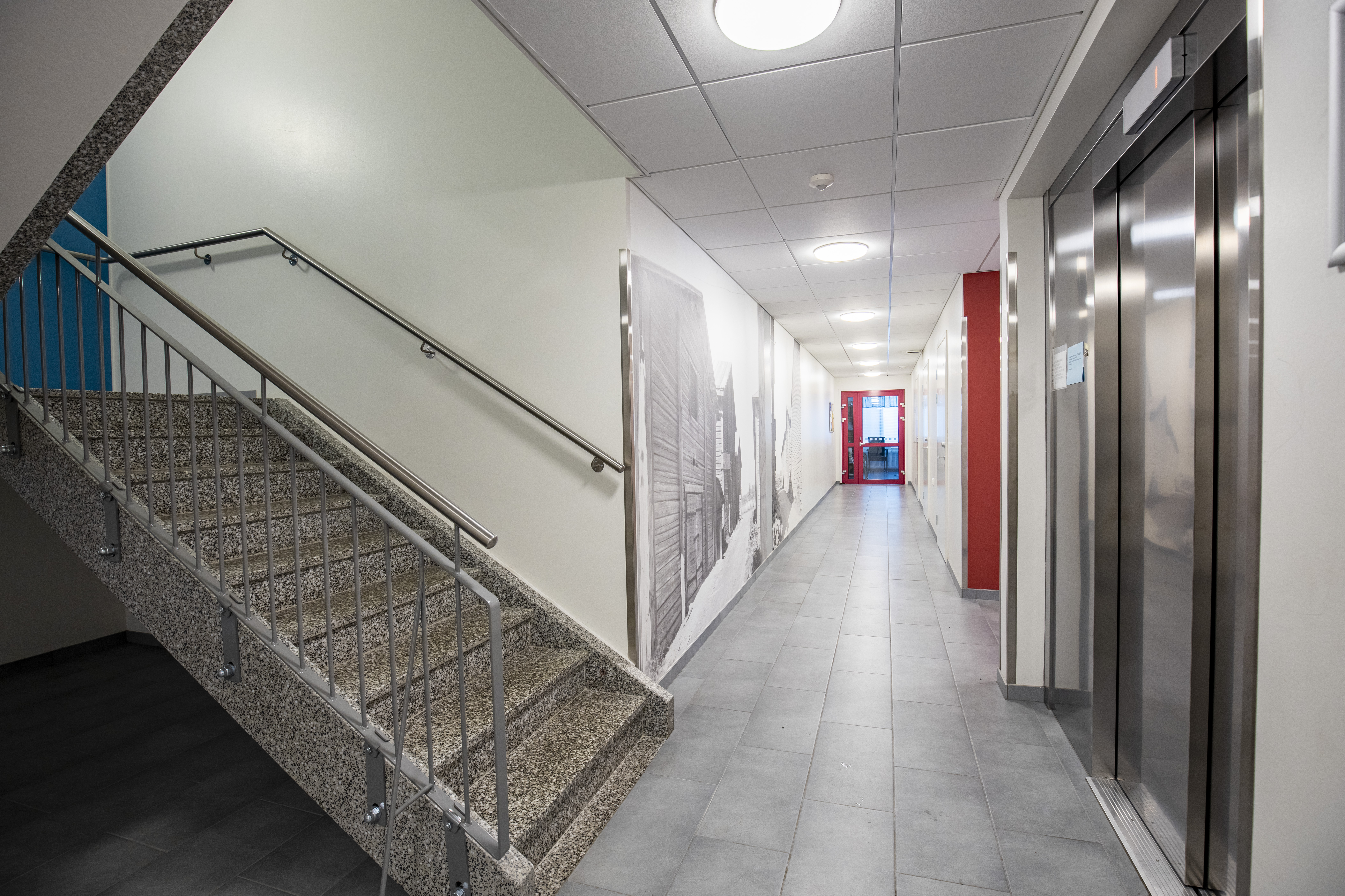 Karjapiha 8a ja 8b, thumbnail 1129