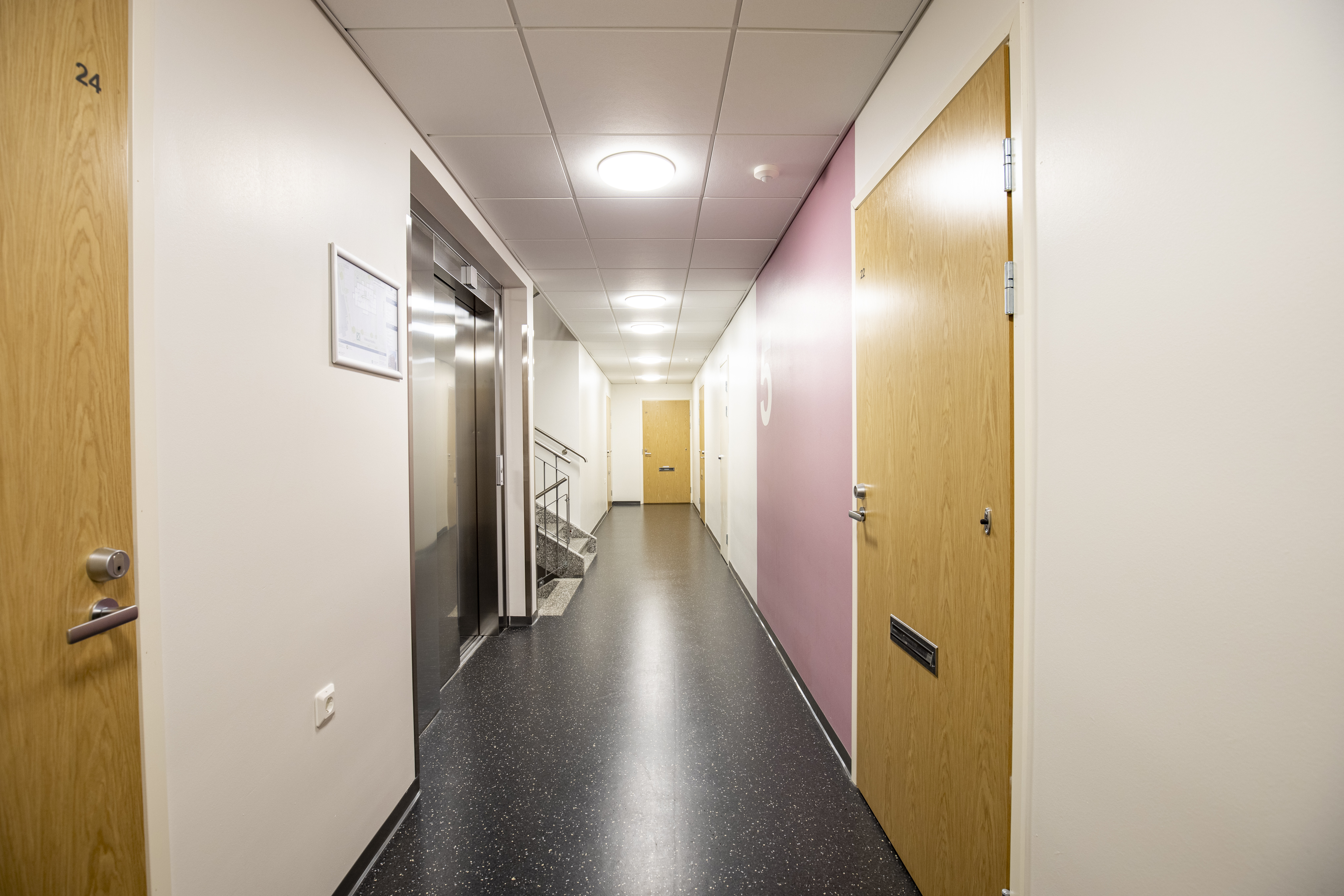 Karjapiha 8a ja 8b, thumbnail 1130