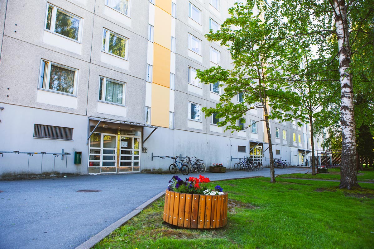 Peräsimentie 1, pienkuva 301