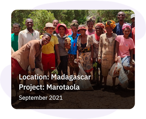 planting trees for parcels, project Marotaola in Madagascar
