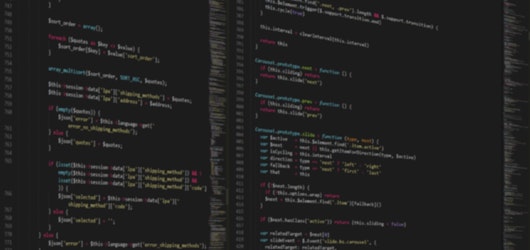 Website design and build