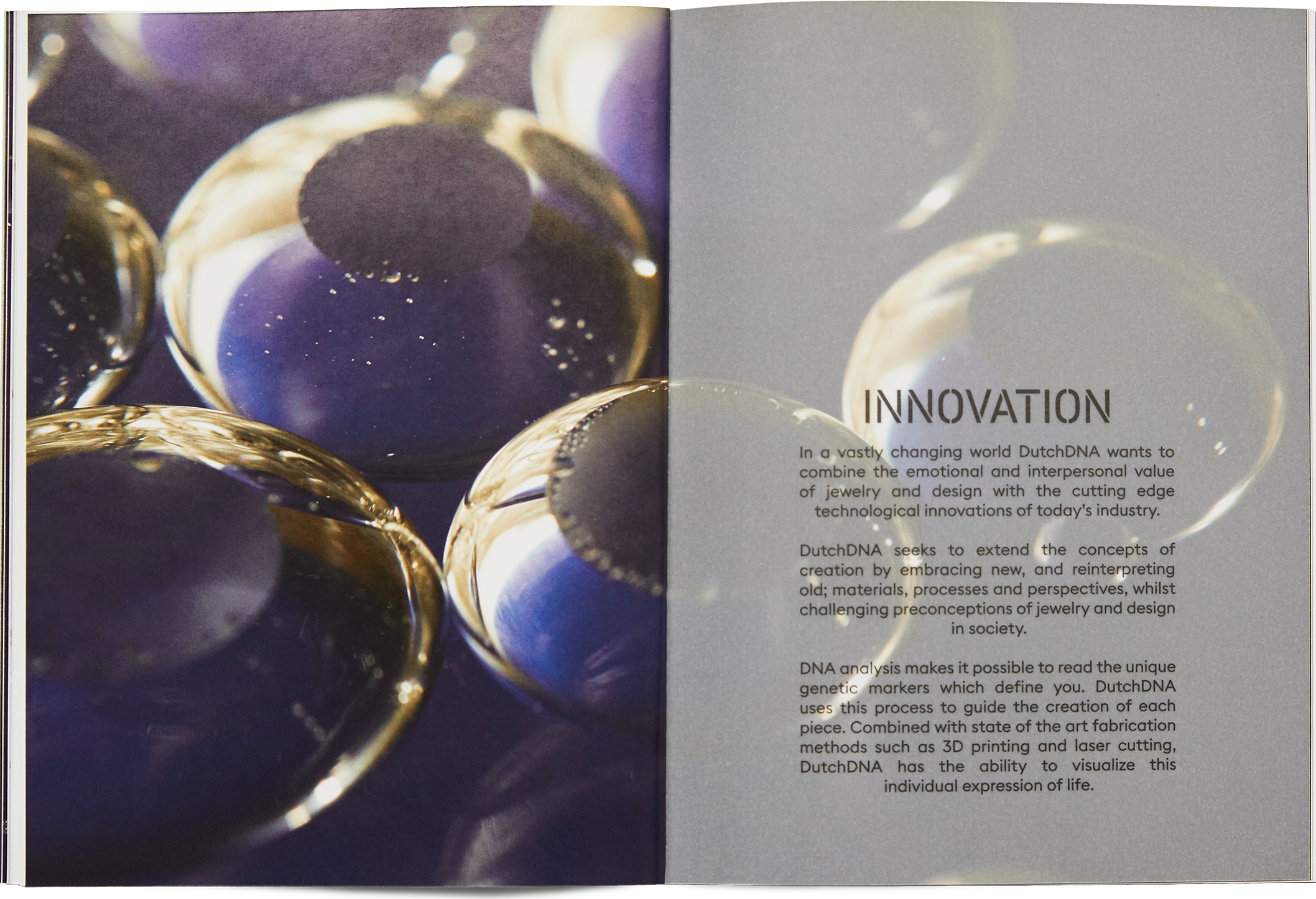 Chapter innovation catalog