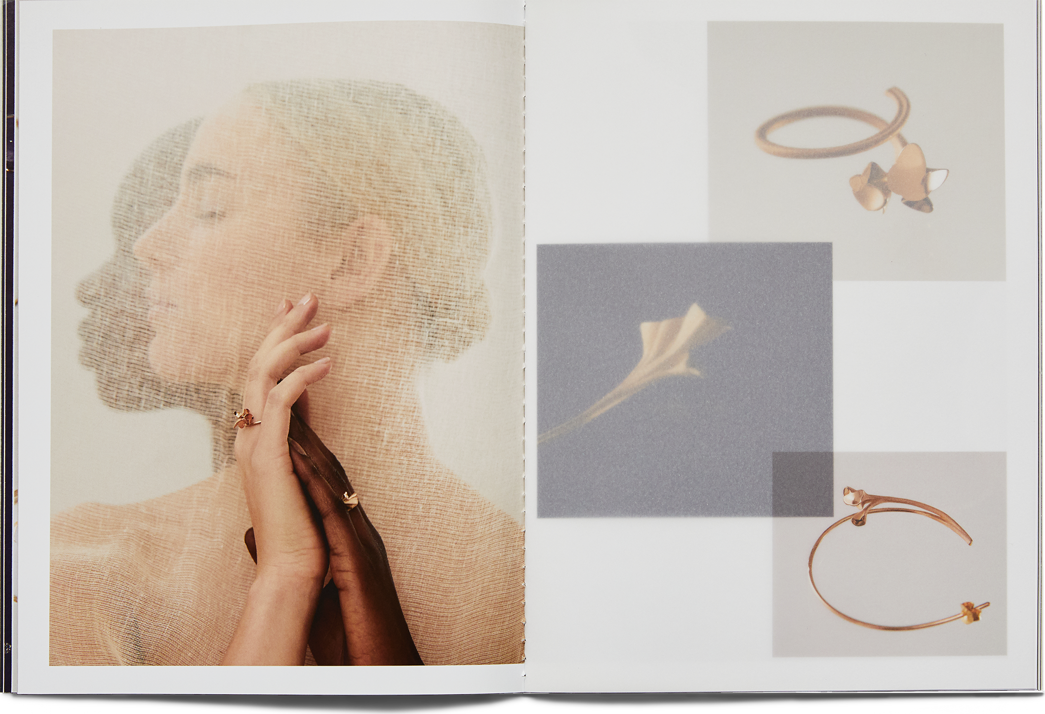 Chapter jewelry in catalog