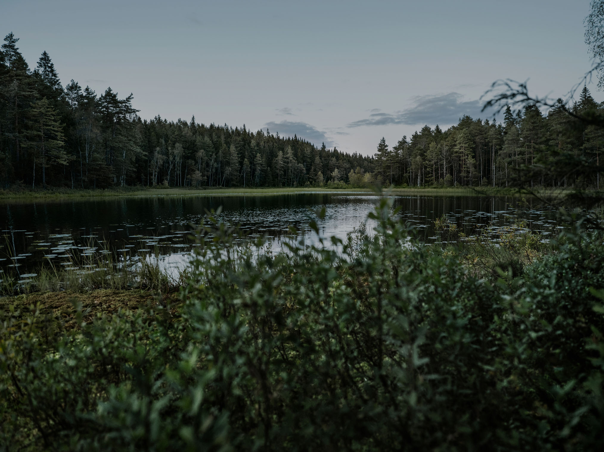 Lake surrounded by forest vegetation under a cloudy sky.