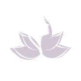 Juno Aesthetics Website Home